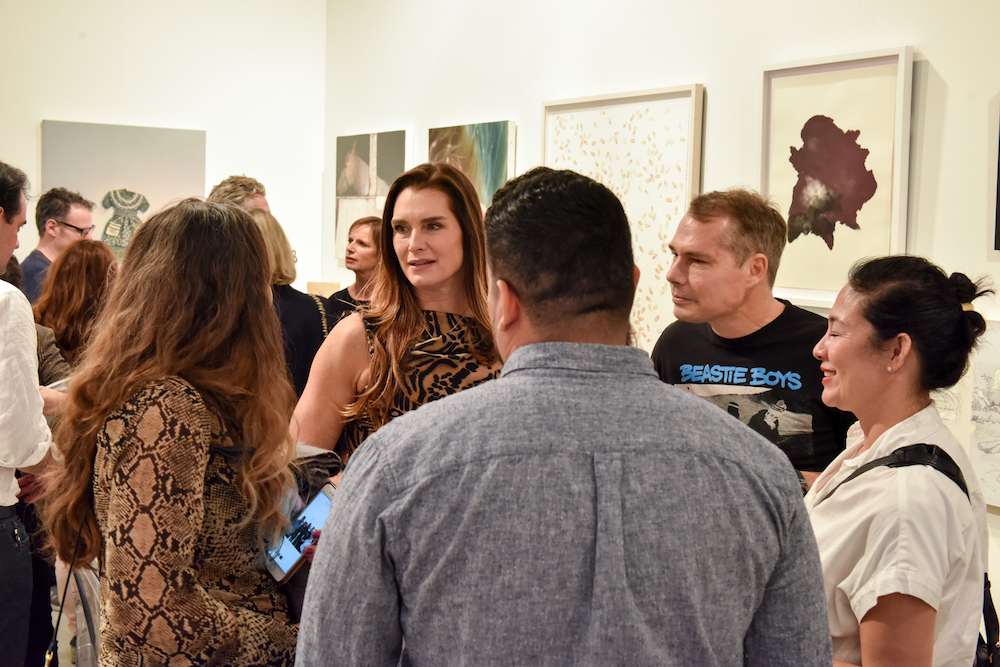 Brooke Shields and Shepard Fairey at Art Miami. Photo by Ken Hayden