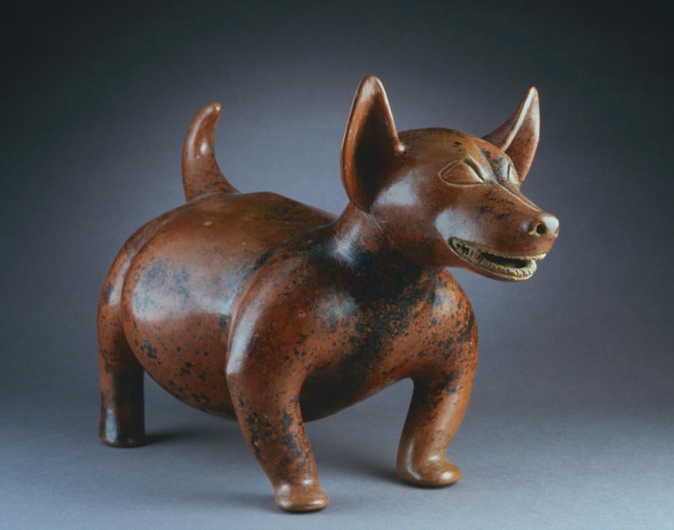 Unknown Artist, Standing Dog, Comala style (State of Colima, Western Mexico, Mexico), circa 300 B.C.–A.D. 300. This is one of the artworks on view in the Denver Art Museum's 