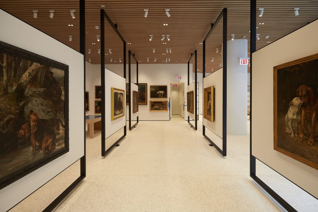 Paintings on view at the American Kennel Club's Museum of the Dog. Photo by David Woo.