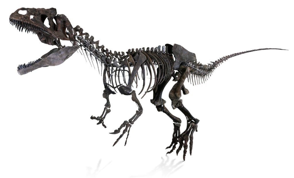 Tyrannosaure du Jurassique d'Auguttes vendu à la Tour Eiffel en juin dernier. Gracieuseté Auguttes.