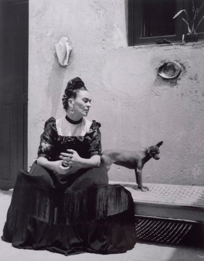 Lola Alvarez Bravo, Frida Kahlo With Dog. Photo courtesy of the Brooklyn Museum.