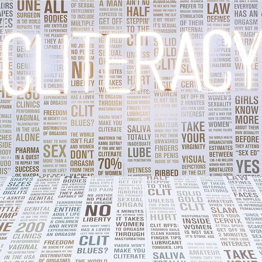 Sophia Wallace, <em>Cliteracy</em>. Photo courtesy of Project for Empty Space. 