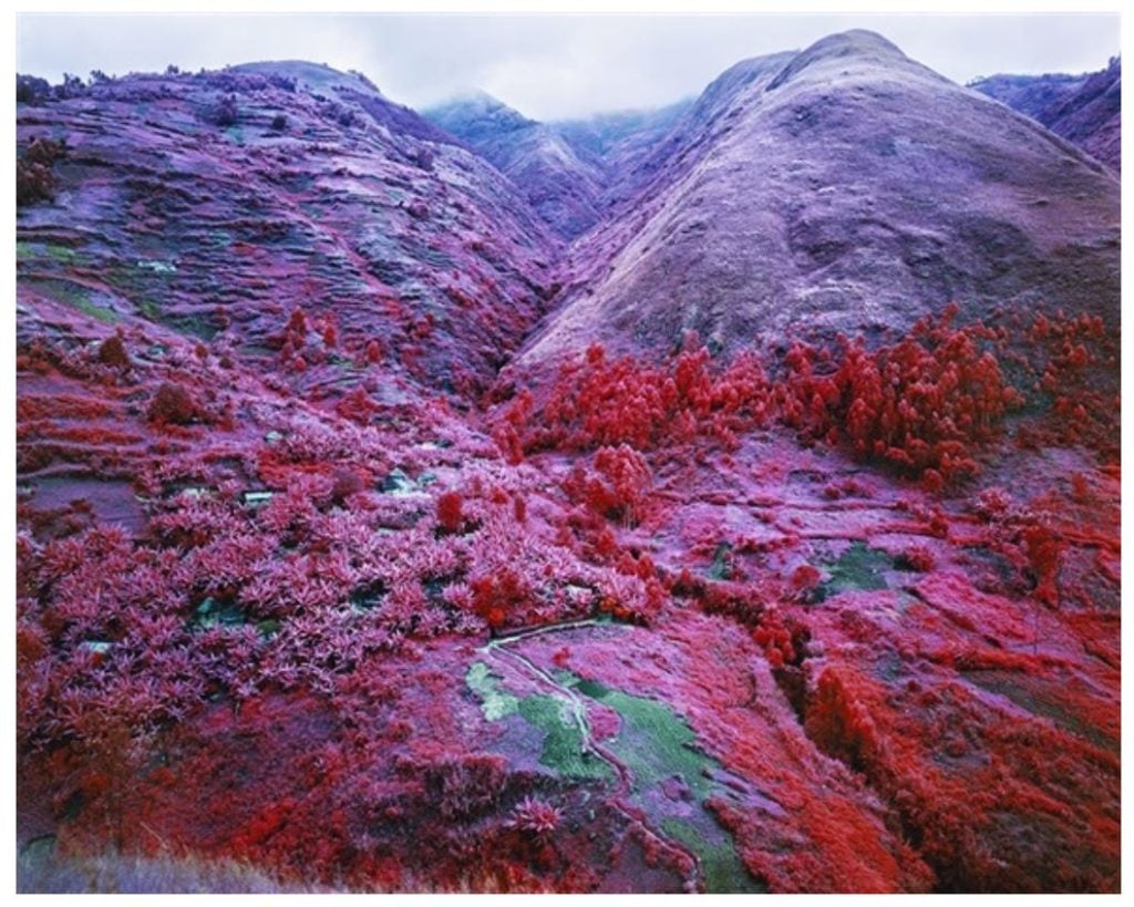 Richard Mosse, <i>Non-Alignment Pact</i> (2015). Courtesy Jack Shainman Gallery.