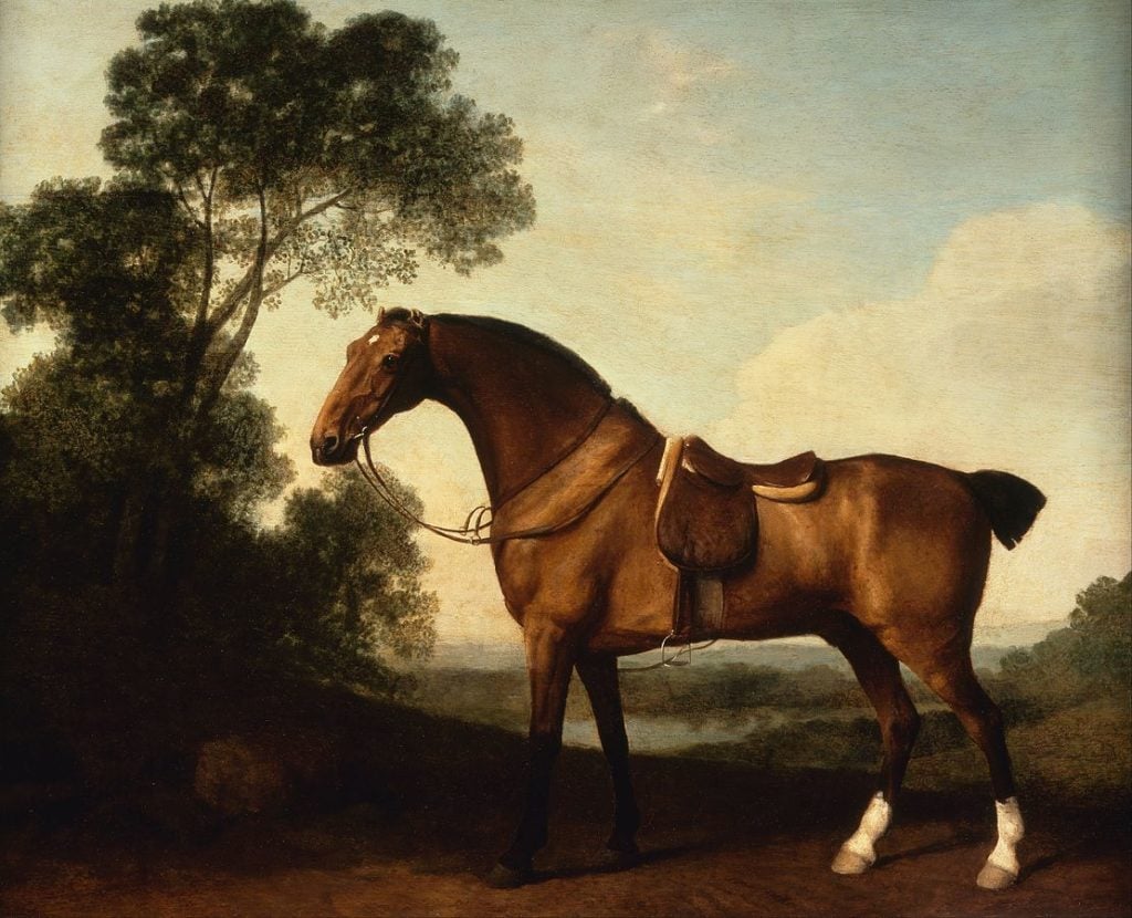 George Stubbs, A Saddled Bay Hunter (1786–1806). Image courtesy of Google Arts and Culture.