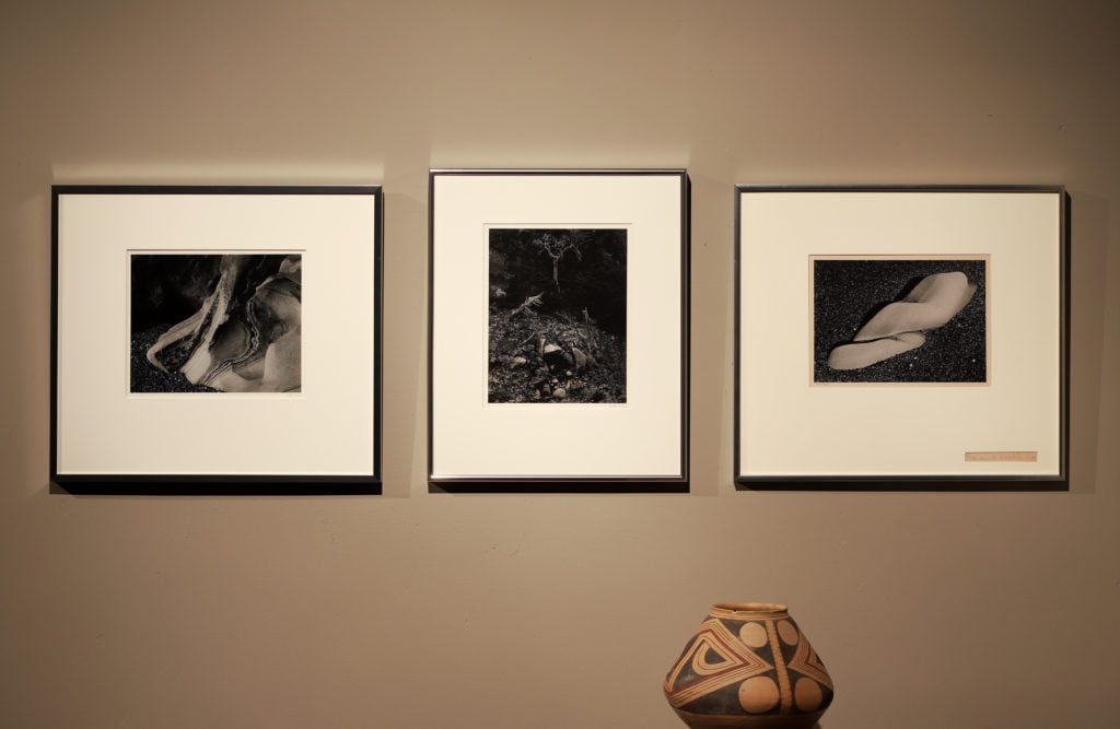Installation view of three photographs by Edward Weston. Beck uses installation views with objects for scale, such as the vase pictured here, to create a sense of scale for this online audience. 