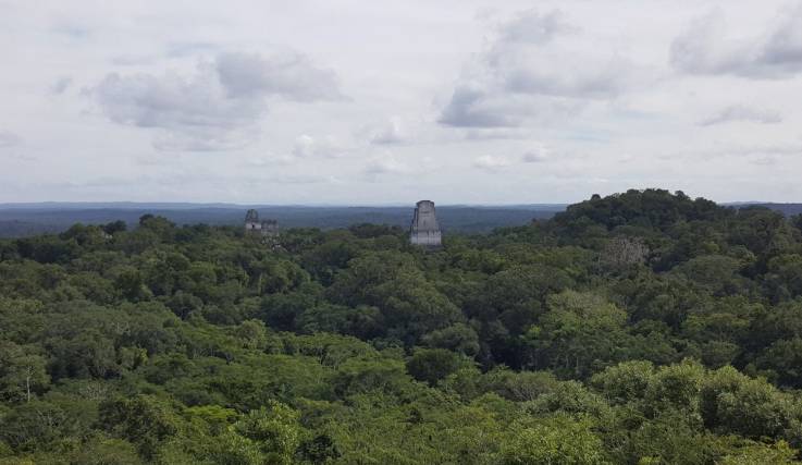 An aerial view of Tikal. Photo courtesy of Marcello Canuto.