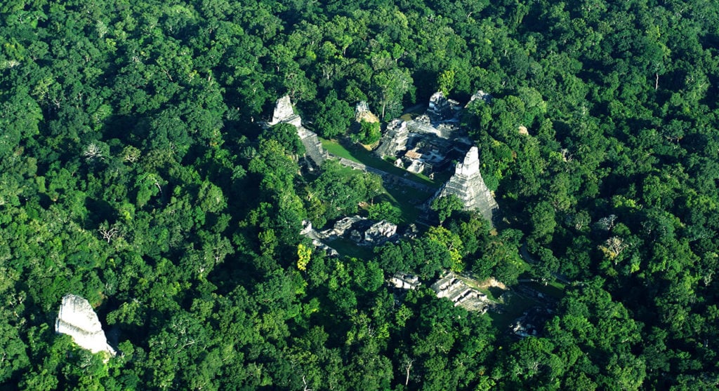 The ancient Mayan city of Tikal was one of the best-mapped regions of the Mayan world, but the PACUNAM Lidar Initiative quintupled the amount of mapping done in 50 years in a single summer. Photo courtesy of Tikal Park.