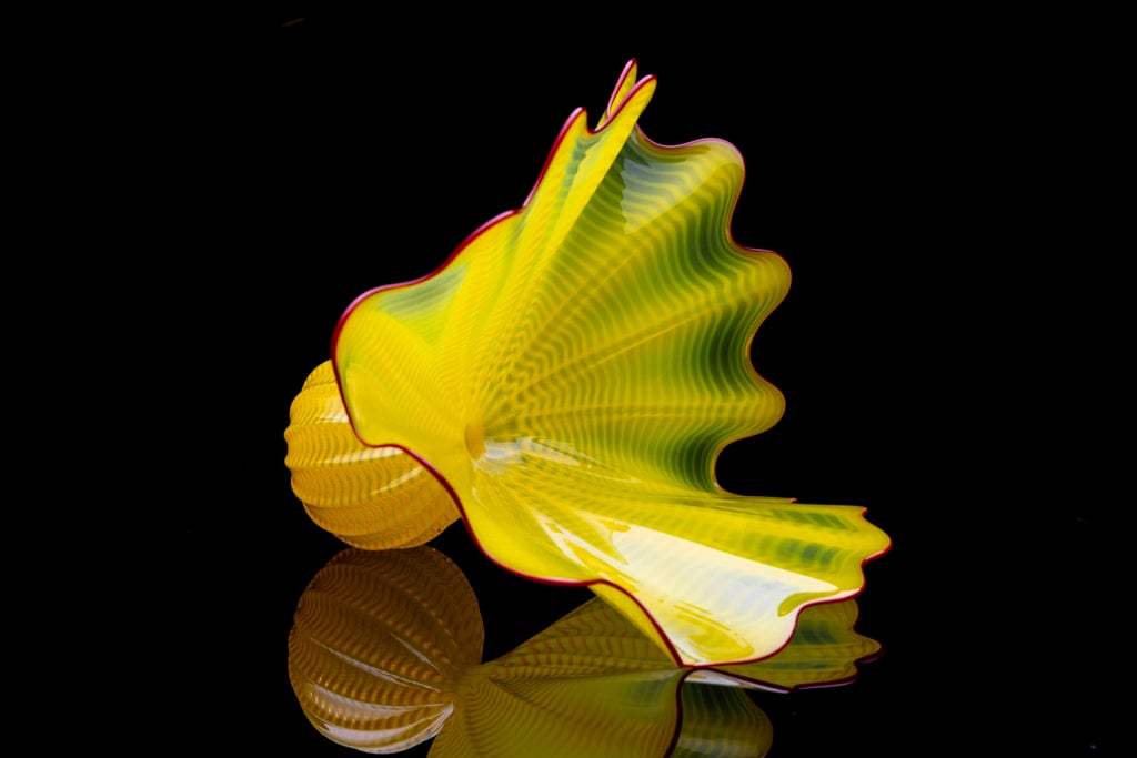 Dale Chihuly, Buttercup Yellow Persian (1996). Courtesy of Modern Artifact.