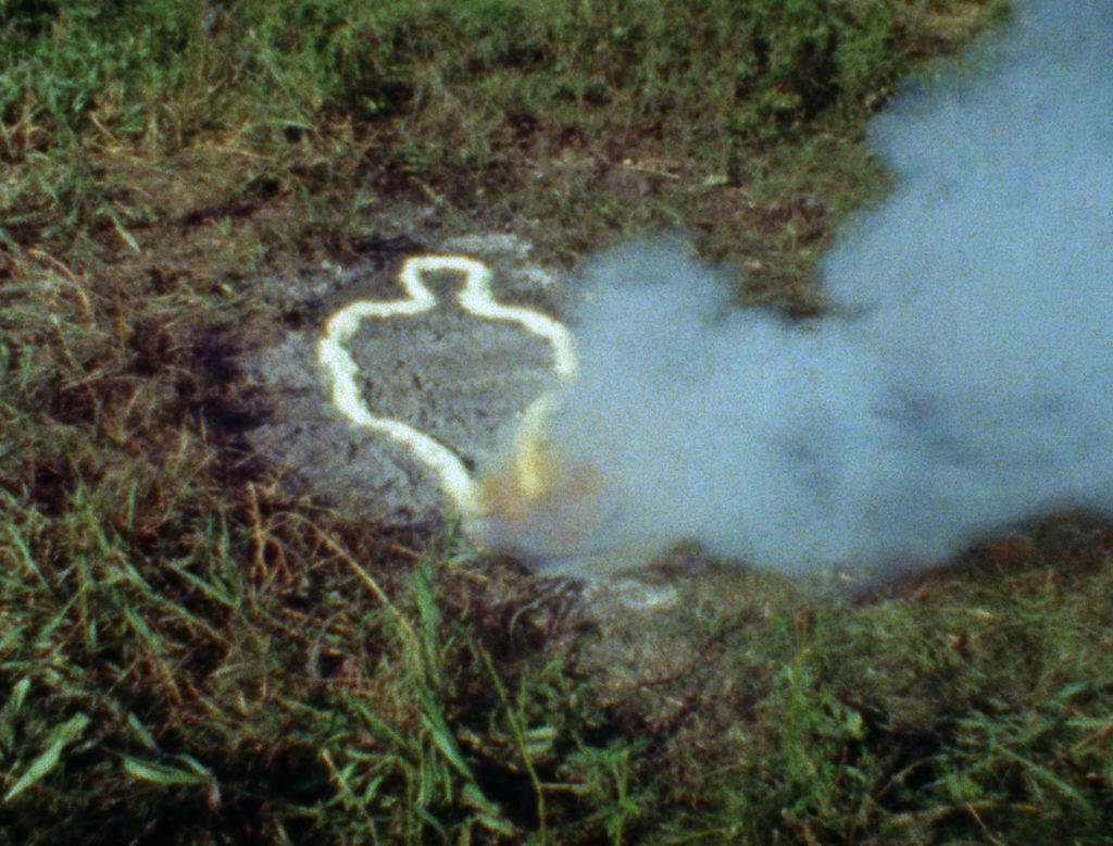 Ana Mendieta, Still from Untitled: Silueta Series (1978). © The Estate of Ana Mendieta Collection, LL. Courtesy of Galerie Lelong & Co.