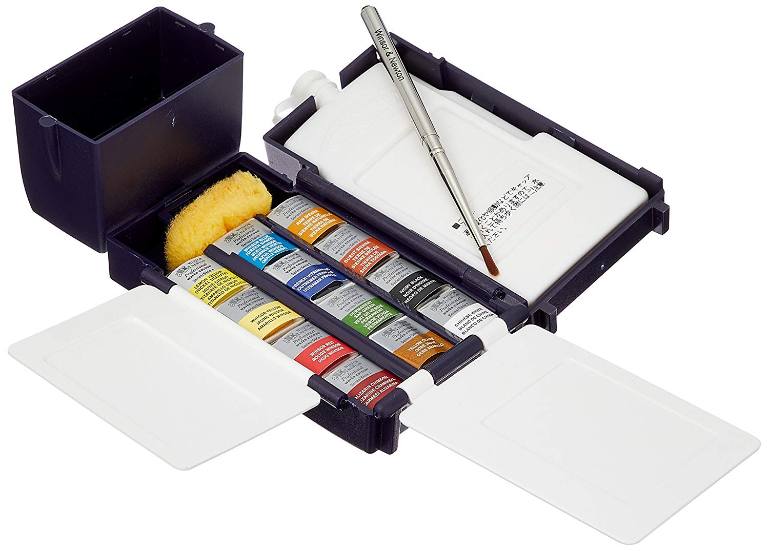 Watercolor Painting Kit, Flowers and Still Lifes