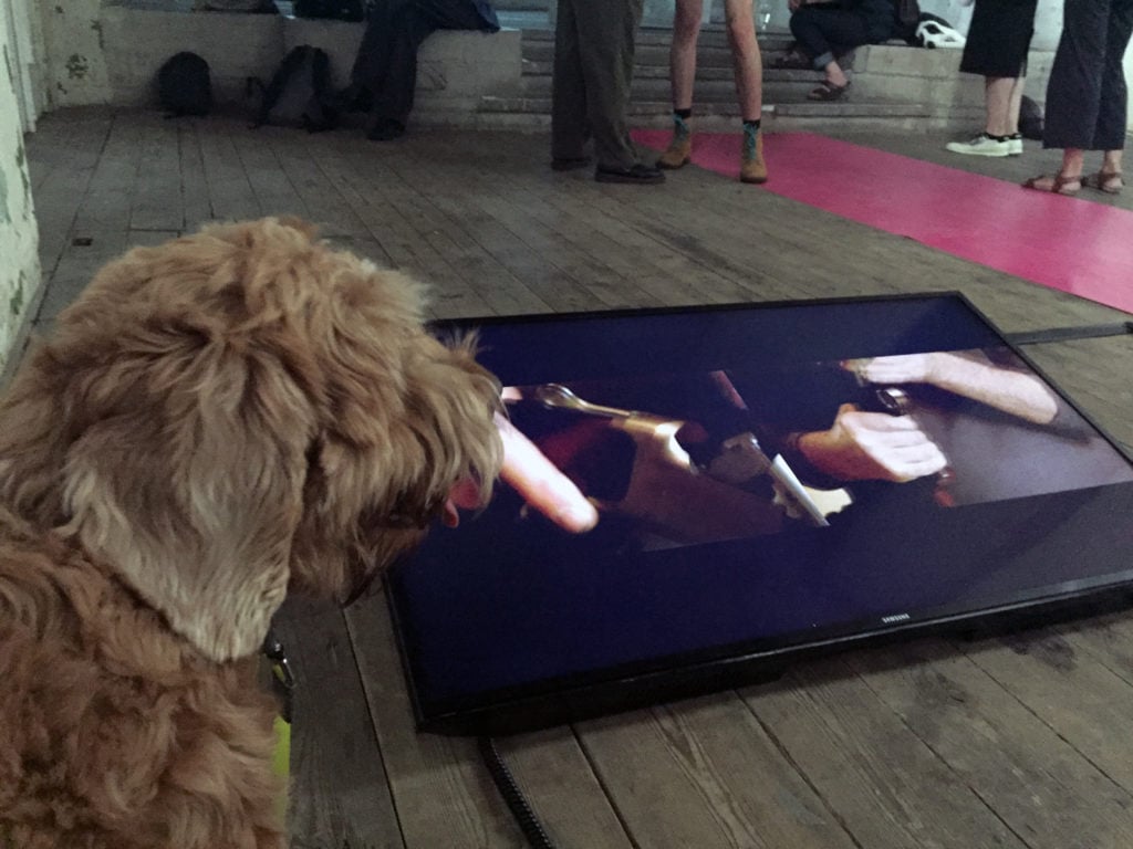 Pico watches a video work that he appreciates being installed on the floor.