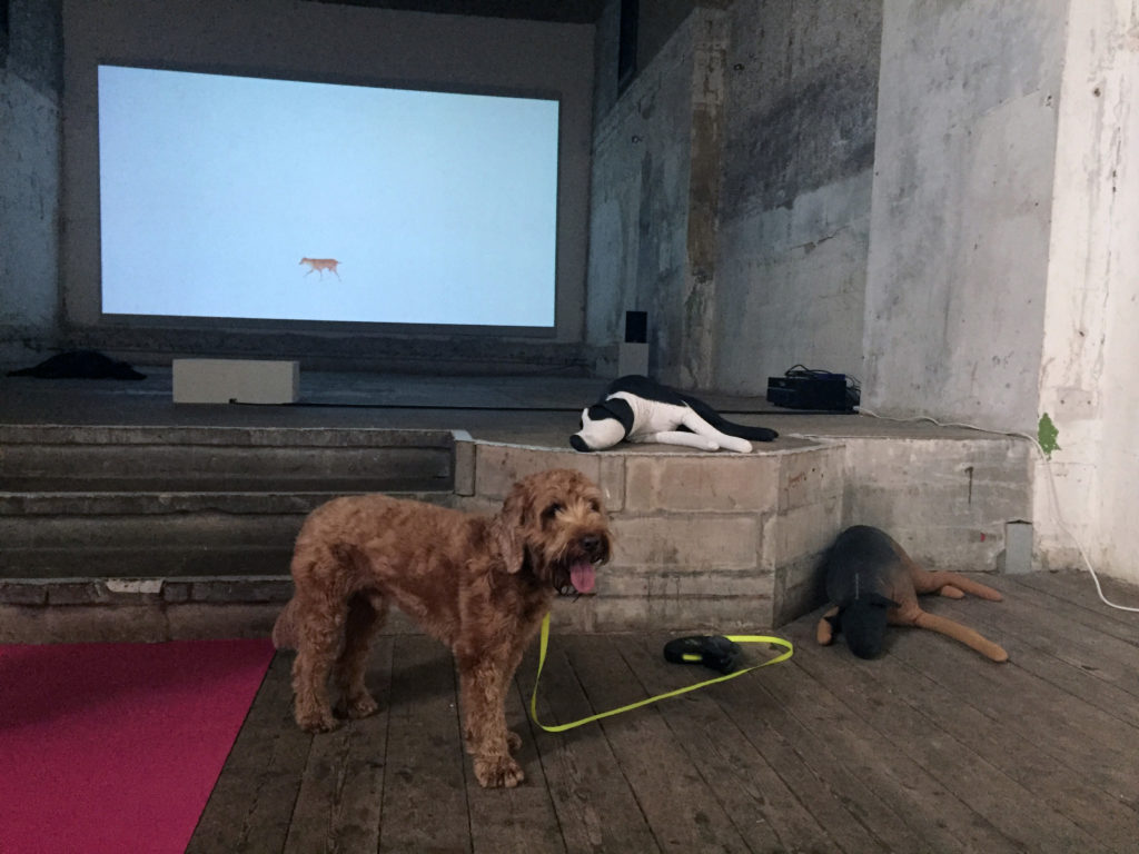 Pico poses in front of a large screen showing Martin Creed's <i>Work No. 670 Orson & Sparky</i> (2007).