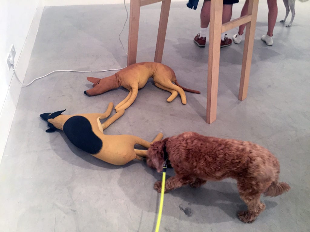 Pico sniffs more of Ryan Brown's sleeping dogs around the foot of Joan Jonas's My New Theater IV, Dog Hoop(2004).