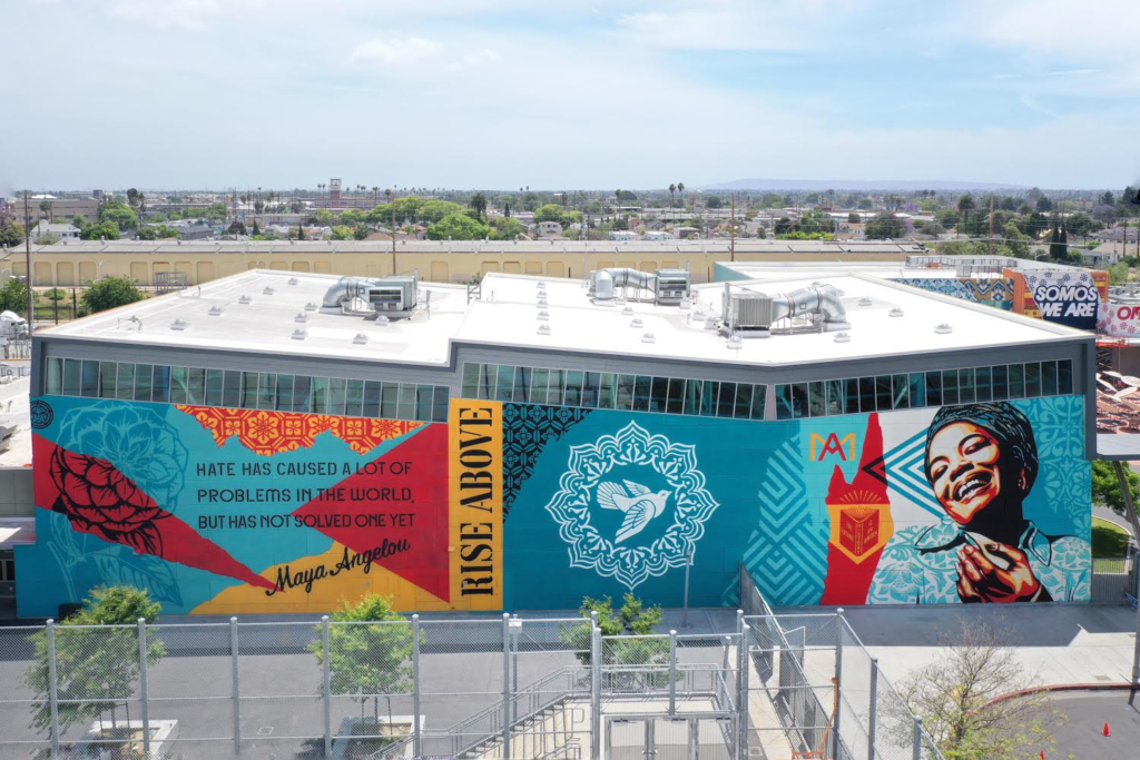 Aerial view of Shepard Fairey's mural (2019). Photo: Impermanent Art. 