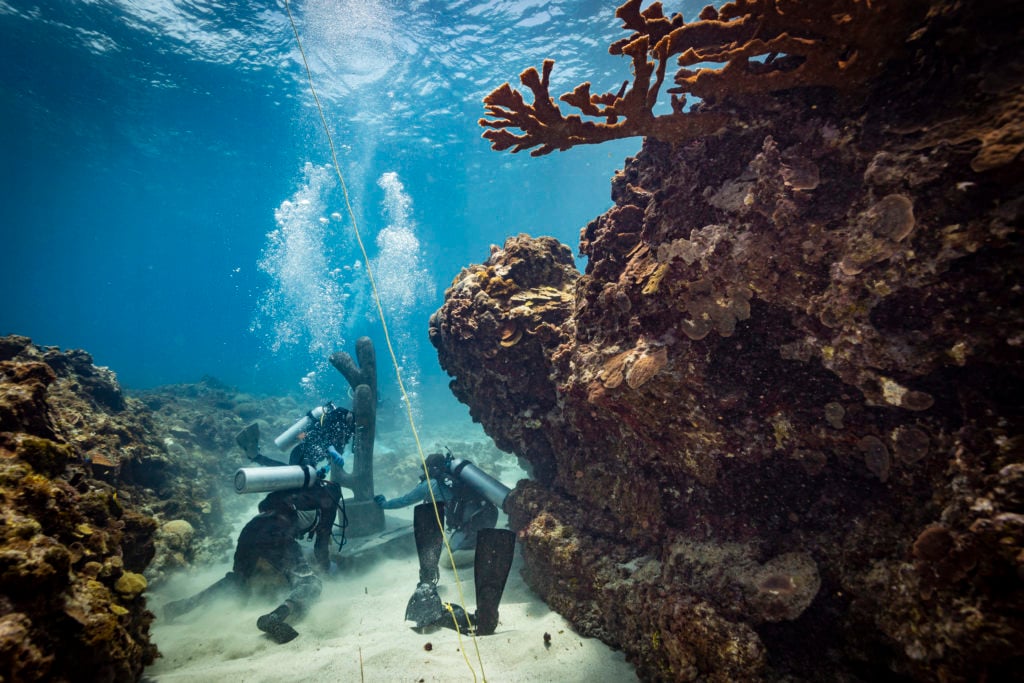 Divers installing Claudia Comte's underwater cactus sculptures at Jamaica's East Portland Fish Sanctuary (2019). Photo by F-Stop Movies.