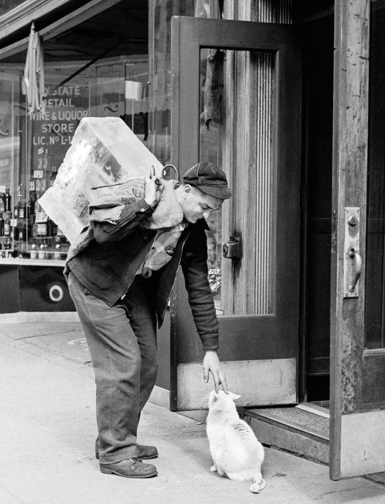 Walter Chandoha, a man pets a cat on the streets of New York (1950). Photo courtesy of TASCHEN,©2019 Walter Chandoha.