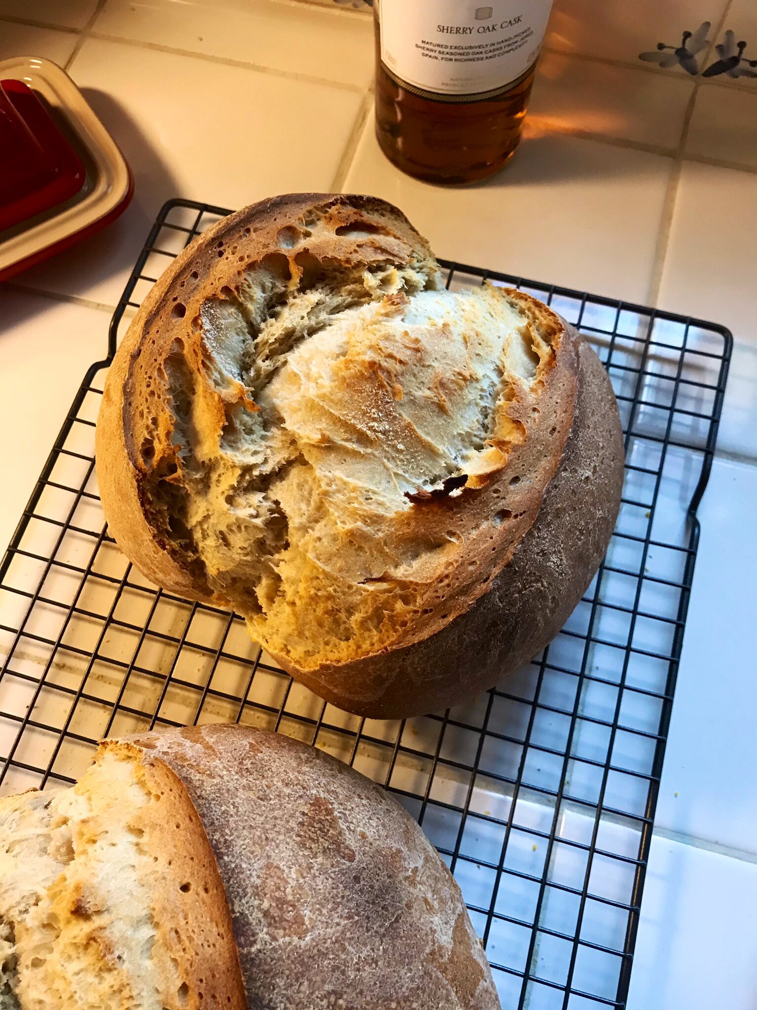 Bread baked using ancient yeast samples collected from Egyptian pottery. Photo by Seamus Blackley.