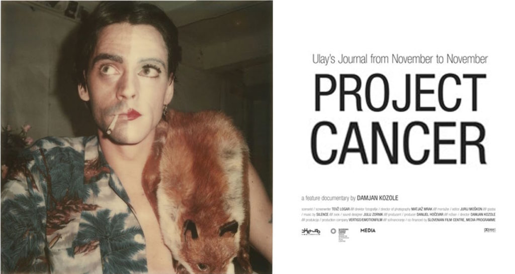 <em>Ulay: Project Cancer</eM>, directed by Damjan Kozole in 2013.