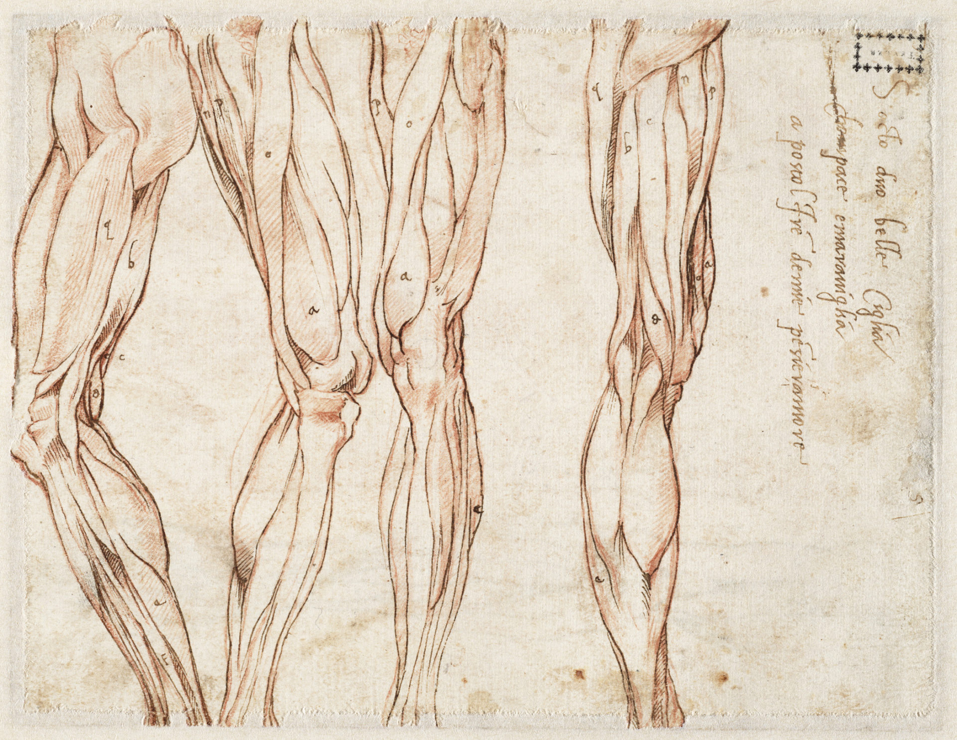 Микеланджело дневники рисунков