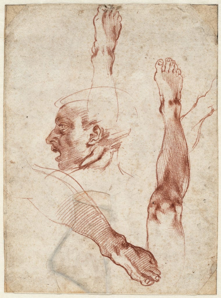 Michelangelo, Male head in profile, studies of limbs (1511), recto. Courtesy of the Teylers Museum, Haarlem.