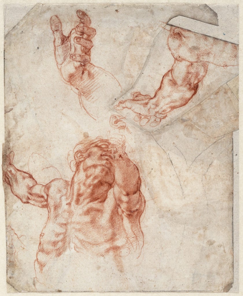 Michelangelo, Studies of the upper body of a man and separate studies of an arm, a hand, and an ear; sketch of a tree (1511–12), recto. Courtesy of the Teylers Museum, Haarlem.
