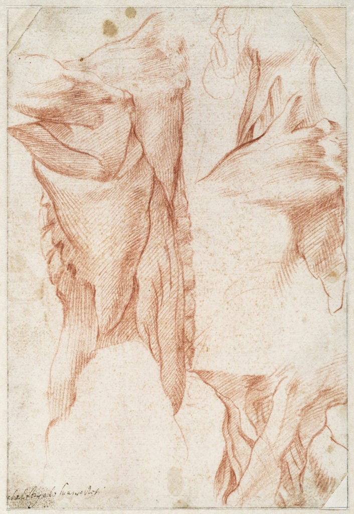 Michelangelo, Studies of a neck and shoulder, from the back and side (1515–20), verso. Courtesy of the Teylers Museum, Haarlem.