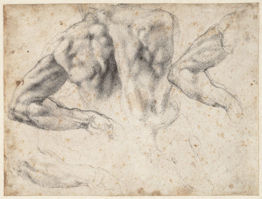 Michelangelo, Study of the back and left arm of a male nude (1523–24), recto. Courtesy of the Teylers Museum, Haarlem.