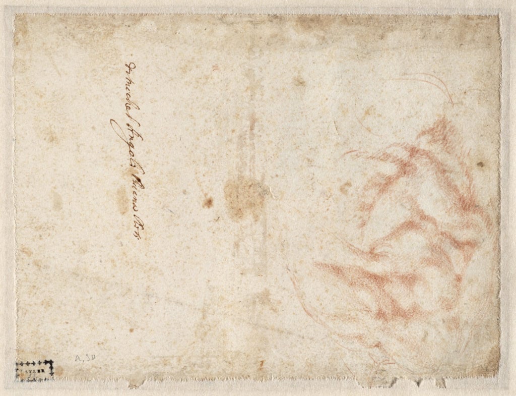 Michelangelo, Study of the right shoulder (1523–24), verso. Courtesy of the Teylers Museum, Haarlem.