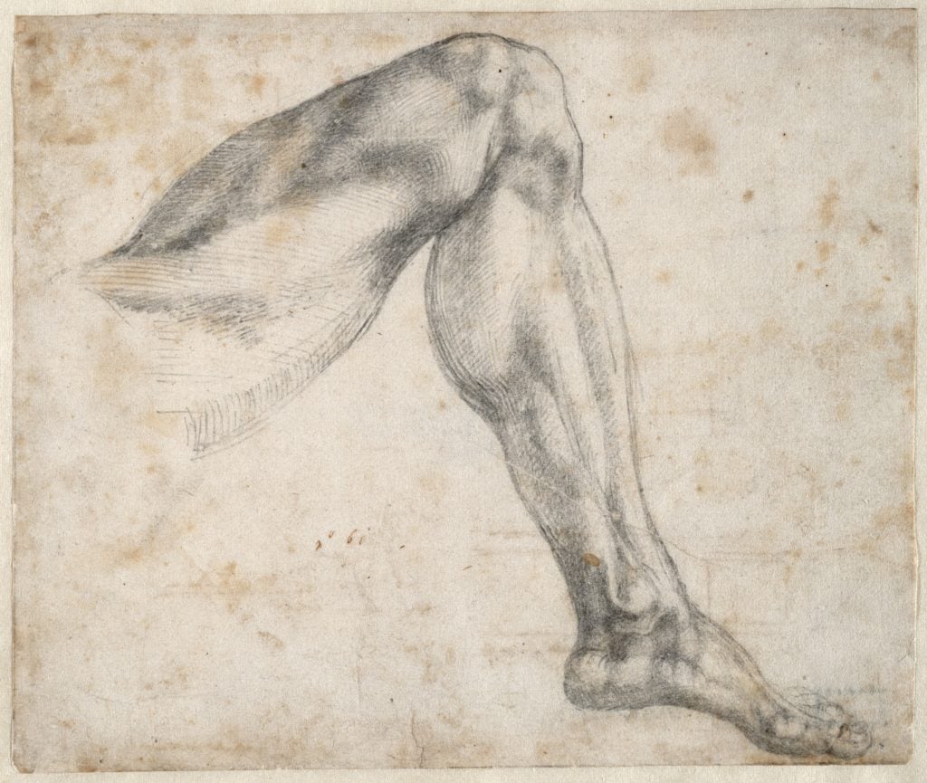 Michelangelo, Study of a leg (1524), recto. Courtesy of the Teylers Museum, Haarlem.
