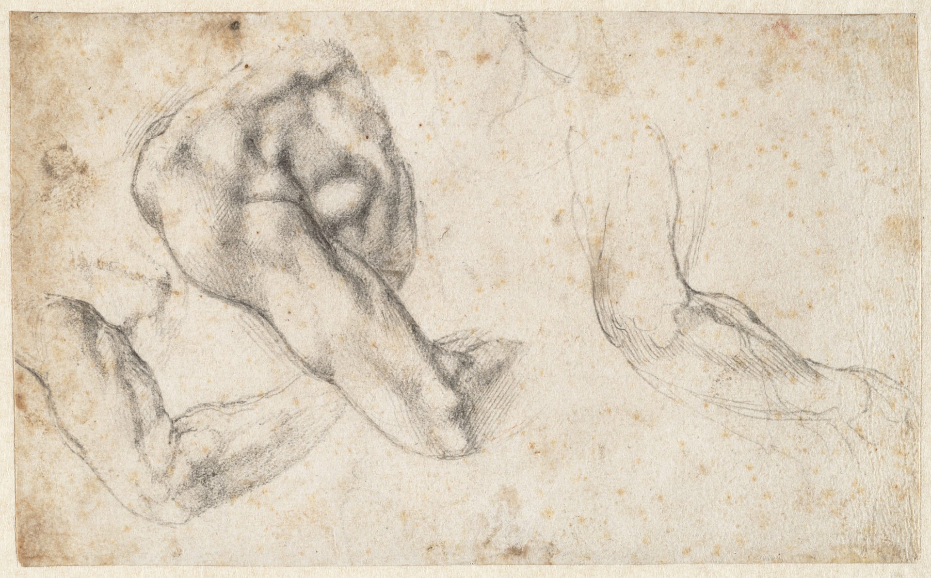 Картины Микеланджело 1475-1564