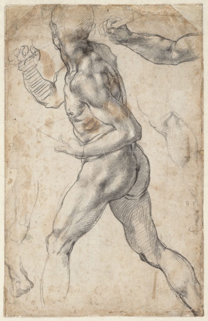Michelangelo, Study of a striding male nude, to the left; studies of anatomical details (1504 of 1506), recto. Courtesy of the Teylers Museum, Haarlem.