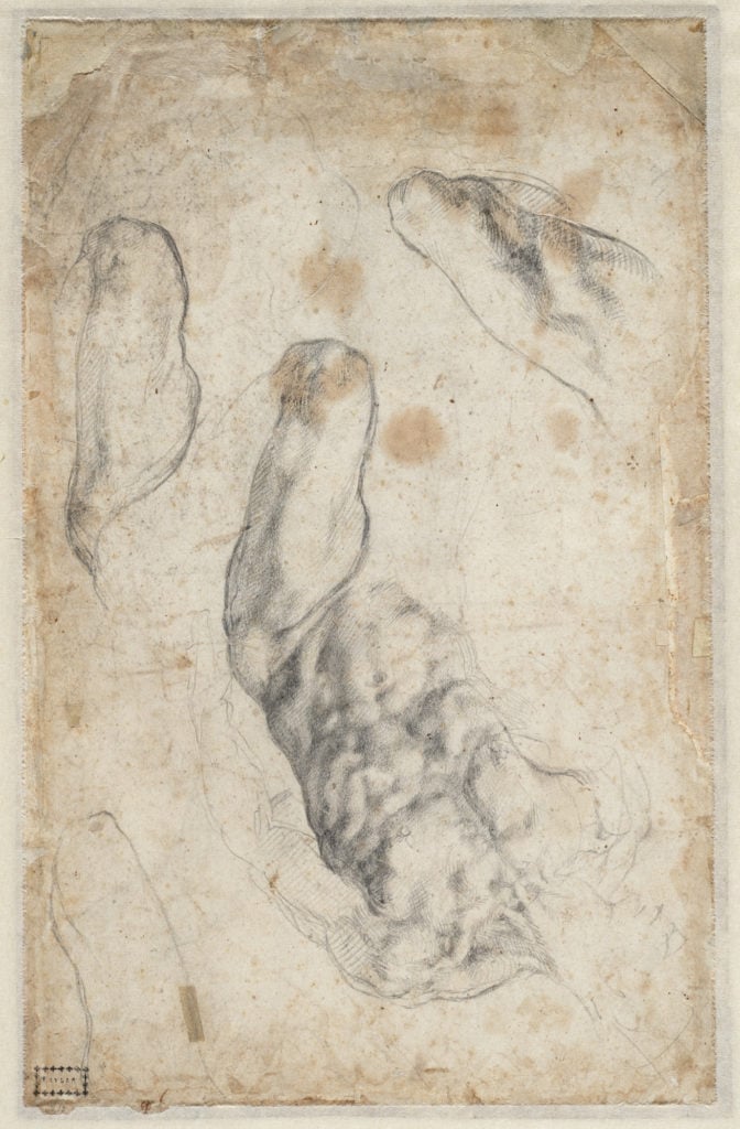 Michelangelo, Study of torso and left leg of a male nude; separate studies of the left leg (1525–30), verso. Courtesy of the Teylers Museum, Haarlem.
