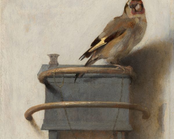 Carel Fabritius | Artnet