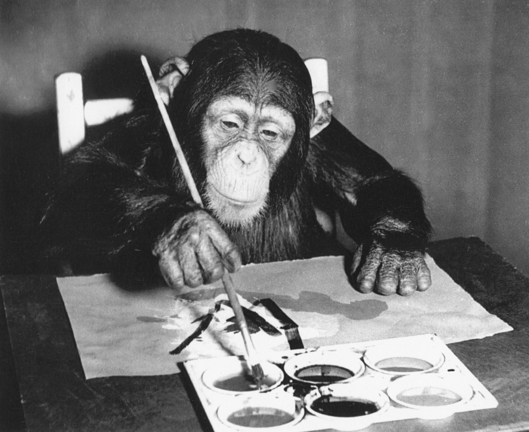 Animal Art by Chimpanzee