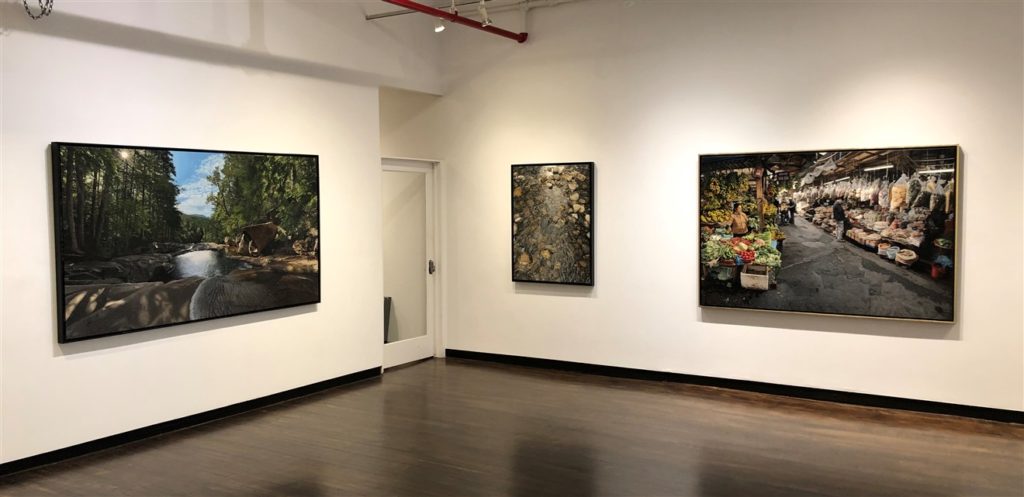 Installation view of 