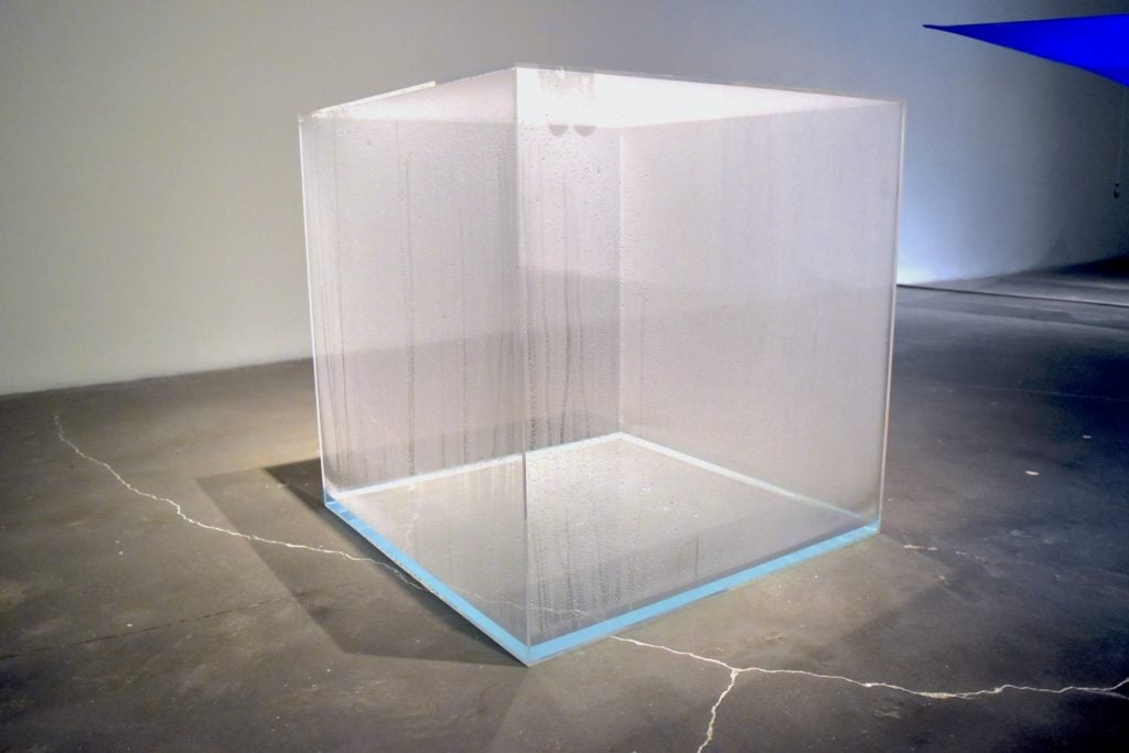 Hans Haacke, Condensation Cube (1963-65). Image: Ben Davis.