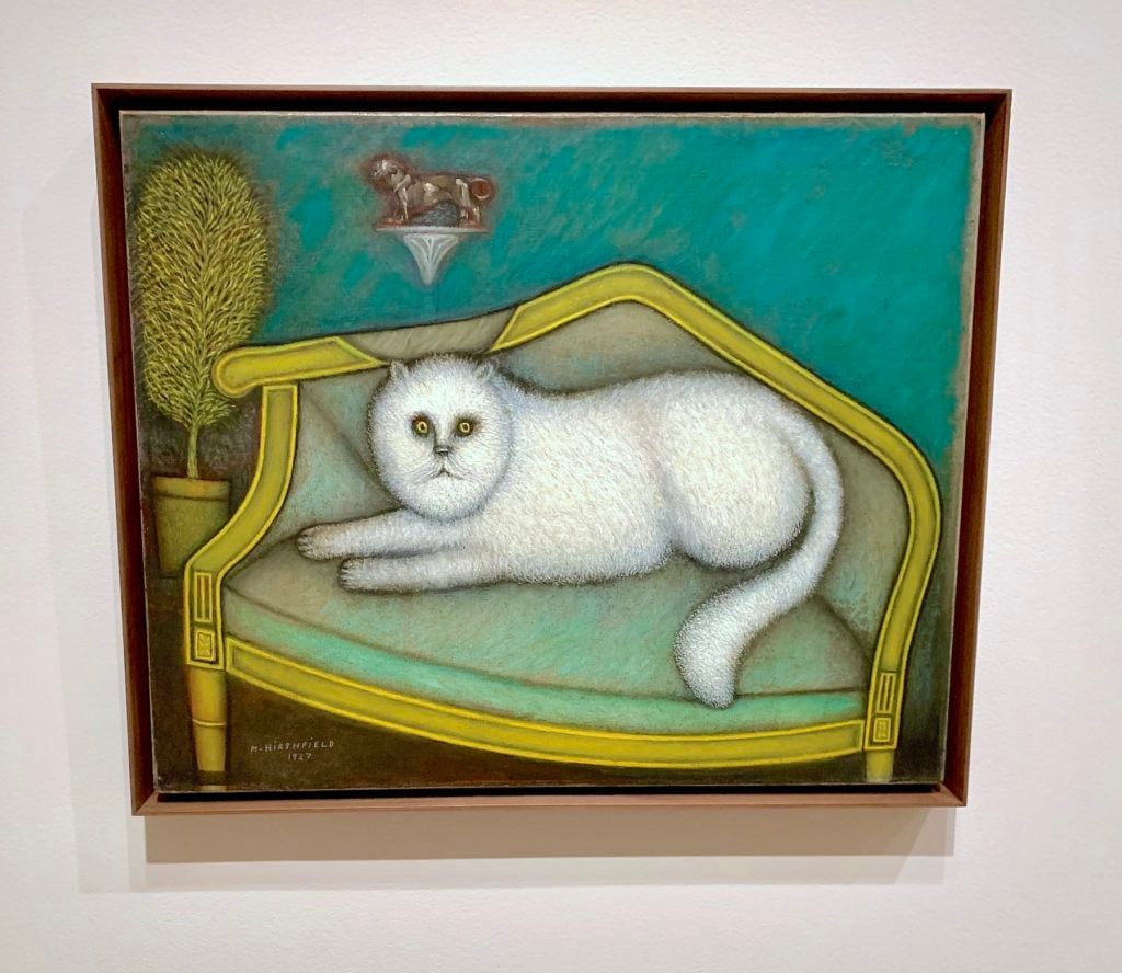 Morris Hirshfield, <em>Angora Cat</em> (1937-39). Image: Ben Davis.