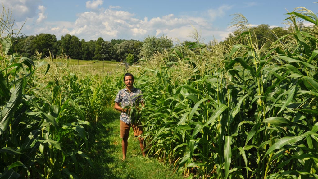Emilio Rojas, <em>Naturalized Borders (to Gloria) & m(Other)s: Hudson Valley</em>. Photo courtesy of Bard College. 