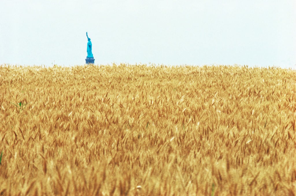 Agnes Denes, Wheatfield-A Confrontation (1982).  Two acres of wheat planted and harvested by the artist at the Battery Park landfill, Manhattan, Summer 1982. Commissioned by Public Art Fund.  Thanks to the artist and Leslie Tonkonow Artworks + Projects.