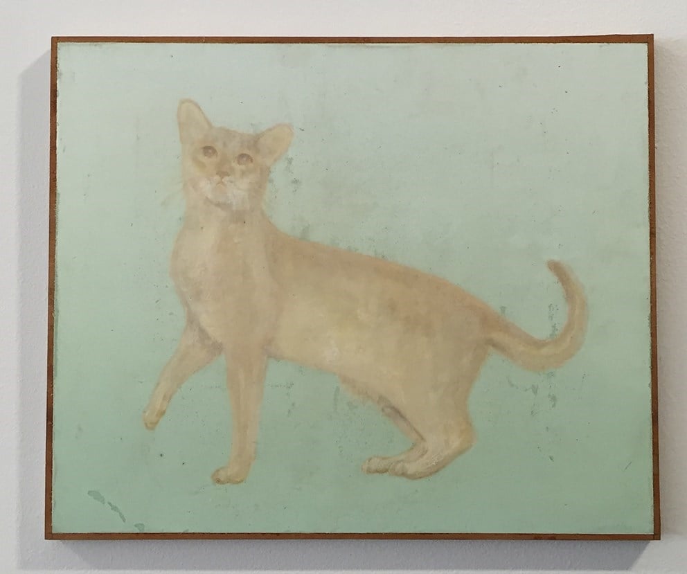 Melanie Smith, Cat 4 (2015). Courtesy of Galeria Nara Roesler. 
