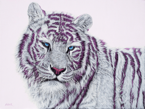 Helmut Koller, Tiger With Magenta (2019). Courtesy of Gallery 444.