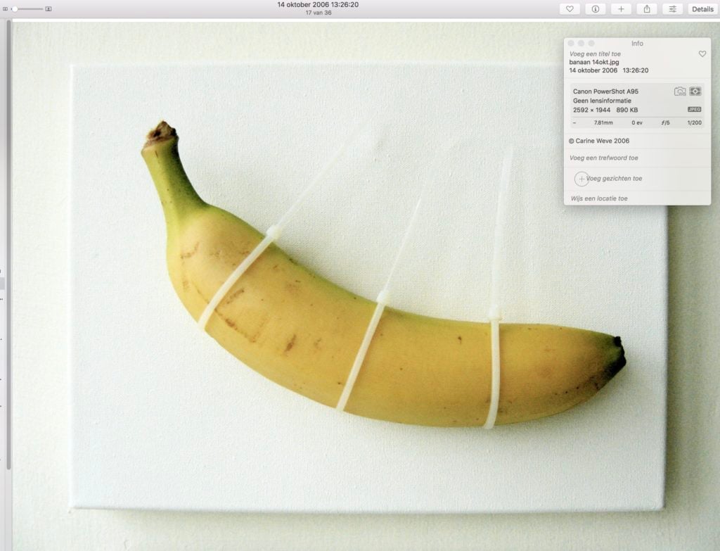 Carine Weve displayed this banana artwork as a student at the Royal Academy of Art in the Netherlands in 2006. Photo courtesy of the artist.
