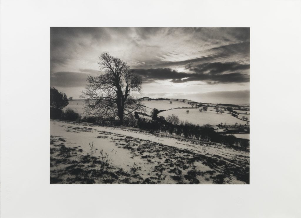 Don McCullin, Batcombe Vale (1992/3). ©Don McCullin. Courtesy of the artist and Hauser & Wirth.
