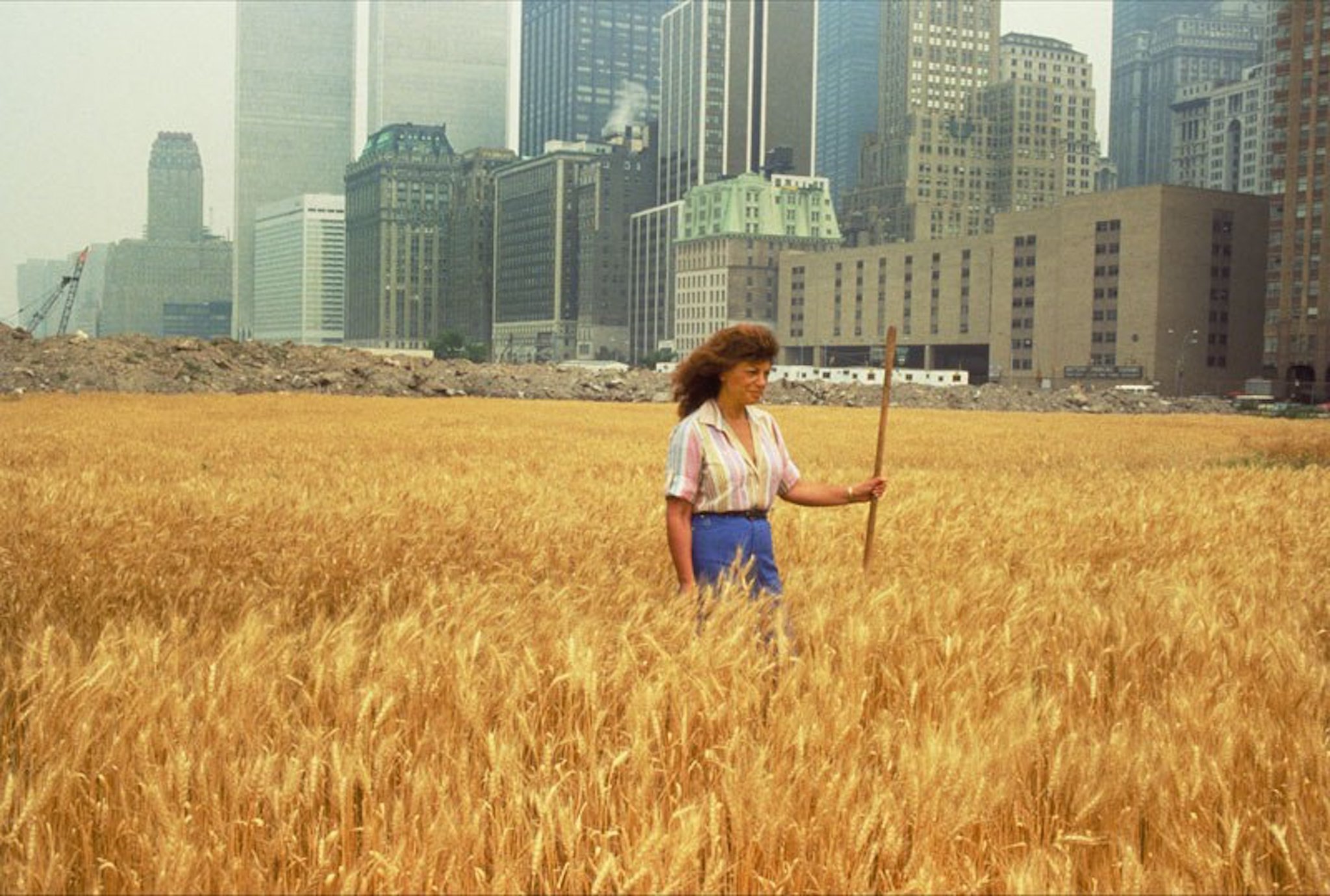 Agnes Denes, Wheatfield—A Confrontation (1982). Two acres of wheat planted and harvested by the artist on the Battery Park landfill, Manhattan, Summer 1982. Commissioned by Public Art Fund. Courtesy the artist and Leslie Tonkonow Artworks + Projects.