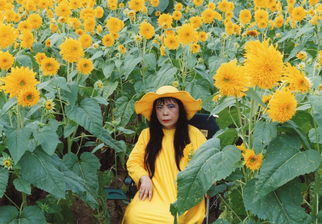 Yayoi Kusama, <em>Flower Obsession (Sunflower)</em>, 2000. Courtesy of the artist.