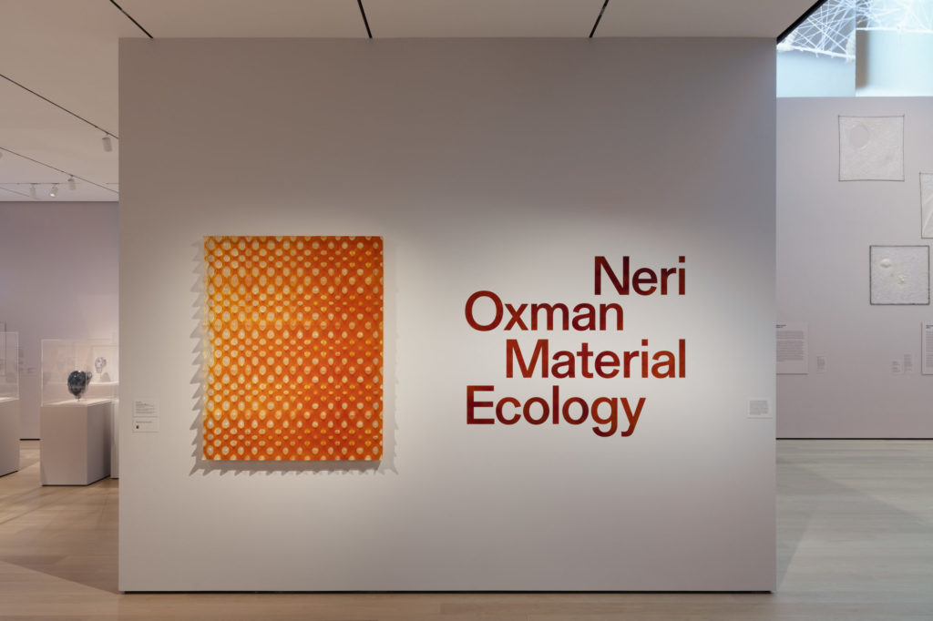 Installation view of "Neri Oxman: Material Ecology." © 2020 The Museum of Modern Art. Photo: Denis Doorly