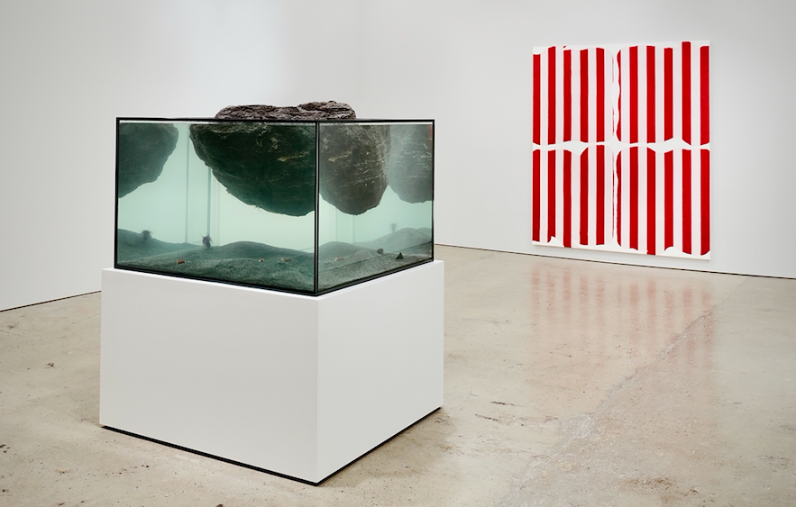 Installation view of “Daniel Buren | Pierre Huyghe” at Nahmad Contemporary. Photo courtesy of Nahmad Contemporary.