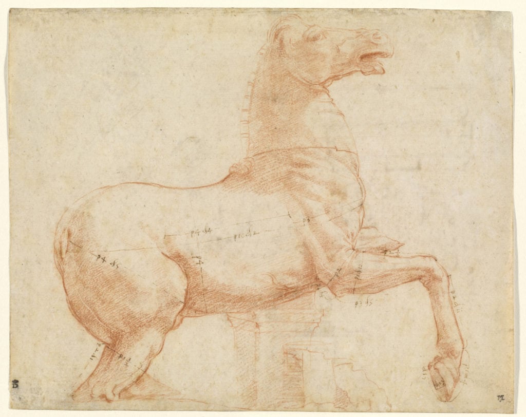 Raphael, Horse of the ancient Dioscuri group on the Quirinal Hill (c.1513). Washington, D.C., National Gallery of Art. ©National Gallery of Art, Washington.