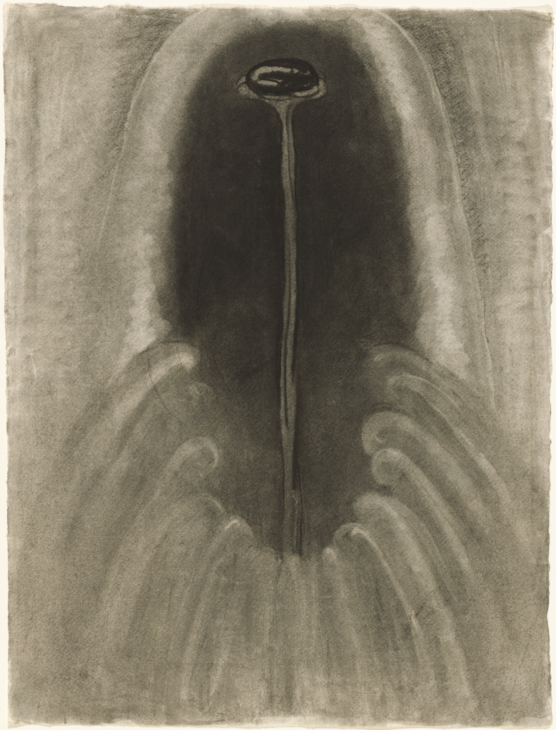 Drawings from Georgia O'Keeffe: Abstract Variations. Courtesy of © Board of Trustees, National Gallery of Art, Washington.