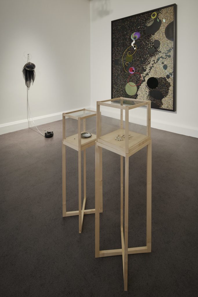 Installation of works by Bharti Kher, Dorothy Cross, and David Douard. Photo: Ros Kavanagh. 